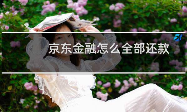 京东金融怎么全部还款（京东金融怎么借钱）图片