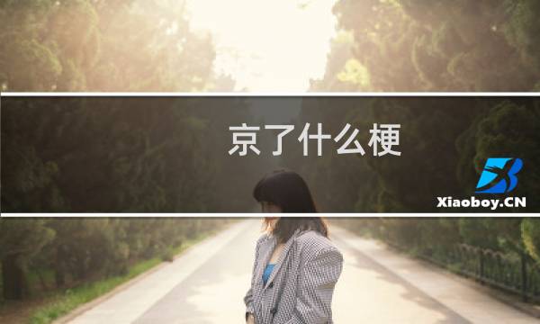 京了什么梗