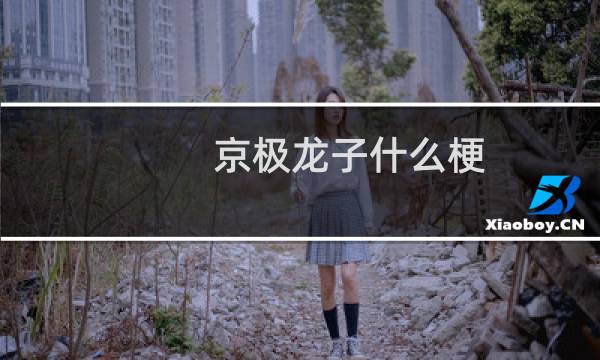 京极龙子什么梗