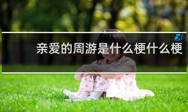 亲爱的周游是什么梗什么梗