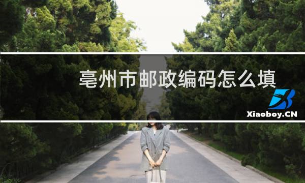 亳州市邮政编码怎么填