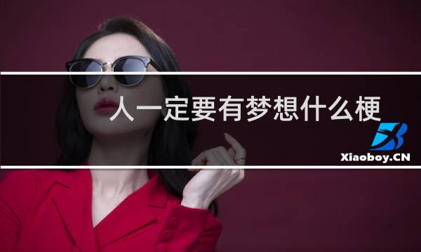 人一定要有梦想什么梗