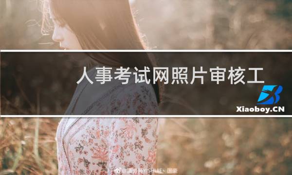 人事考试网照片审核工具怎么使用