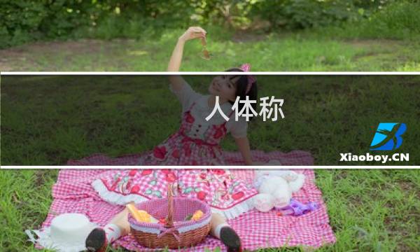 人体称图片