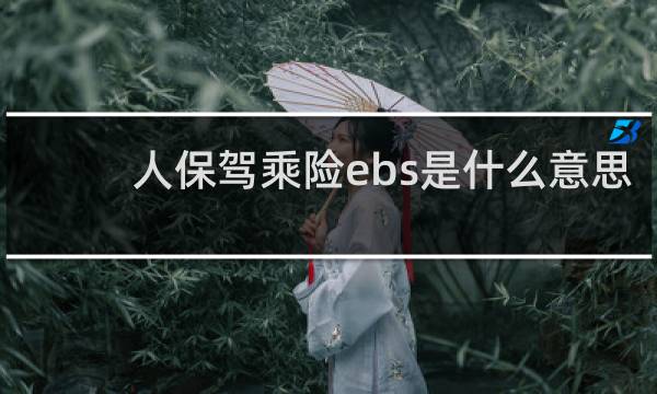 人保驾乘险ebs是什么意思图片