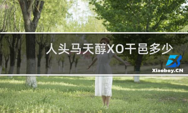 人头马天醇XO干邑多少钱