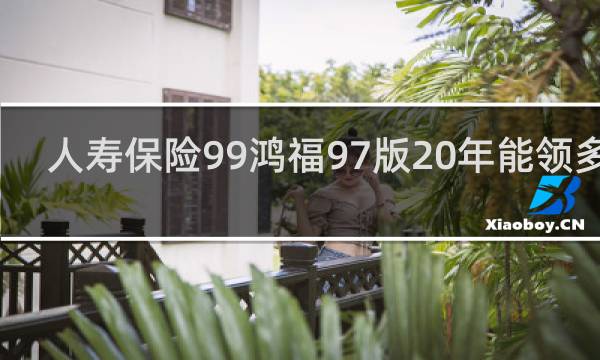 人寿保险99鸿福97版20年能领多少图片