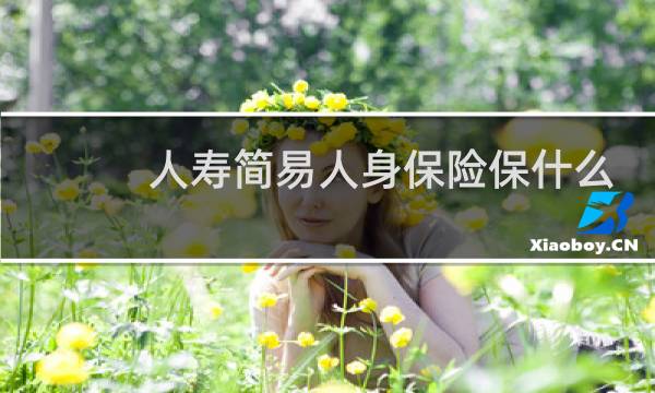 人寿简易人身保险保什么