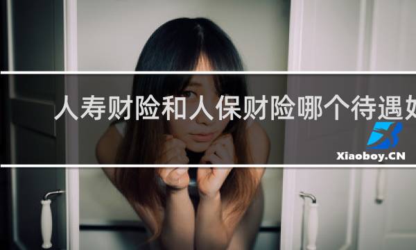 人寿财险和人保财险哪个待遇好图片