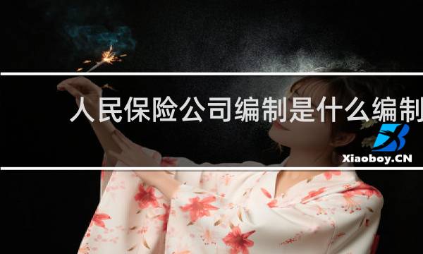 人民保险公司编制是什么编制