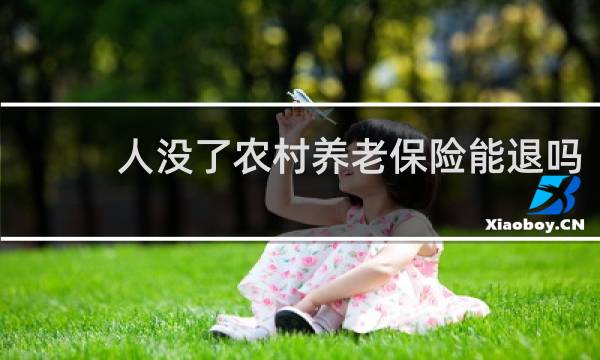 人没了农村养老保险能退吗