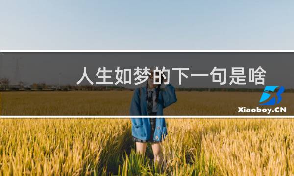 人生如梦的下一句是啥（人生如梦的下一句是什么）