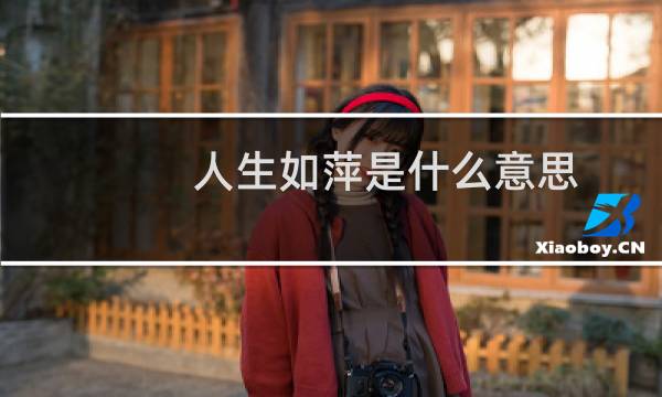 人生如萍是什么意思