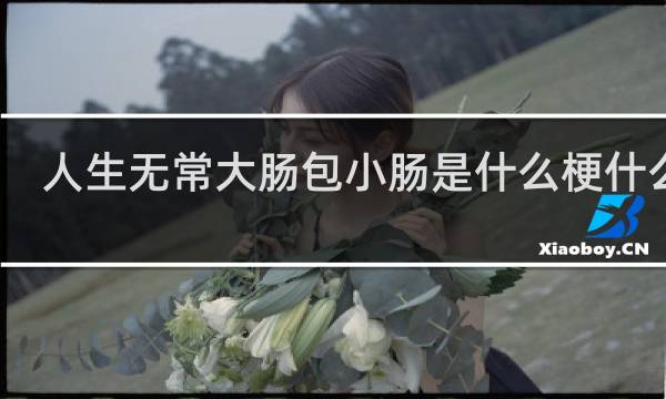 人生无常大肠包小肠是什么梗什么梗