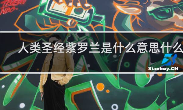 人类圣经紫罗兰是什么意思什么梗