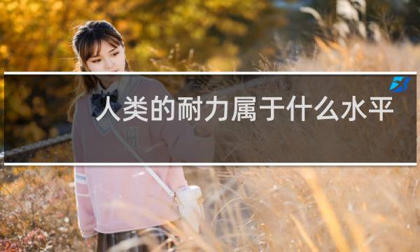 人类的耐力属于什么水平