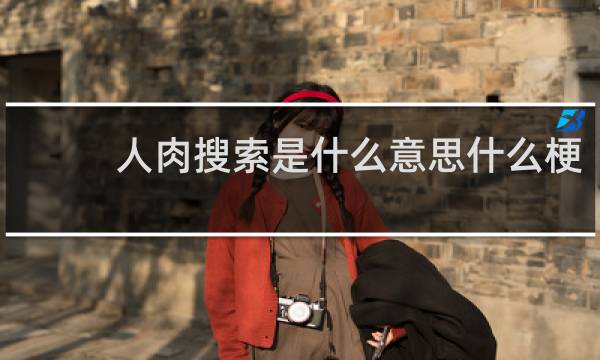 人肉搜索是什么意思什么梗