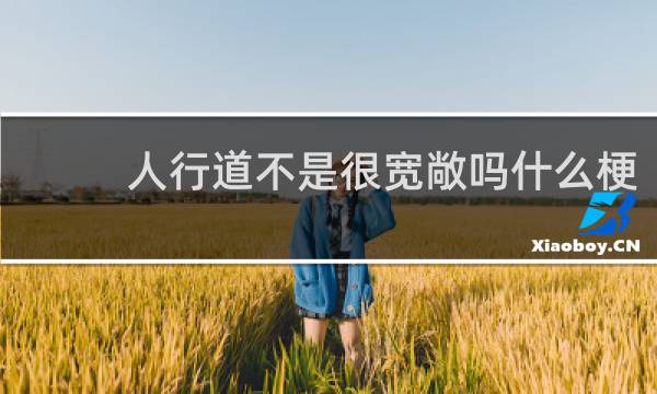 人行道不是很宽敞吗什么梗