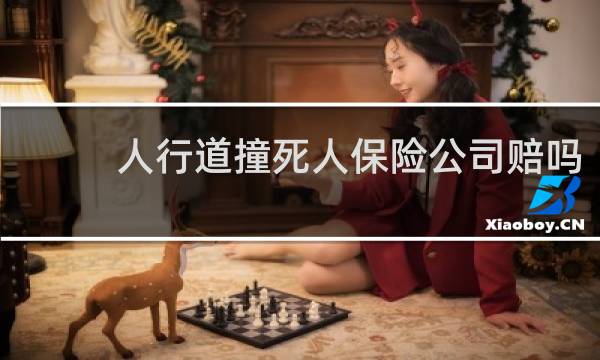 人行道撞死人保险公司赔吗