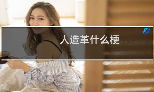 人造革什么梗