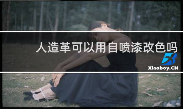 人造革可以用自喷漆改色吗