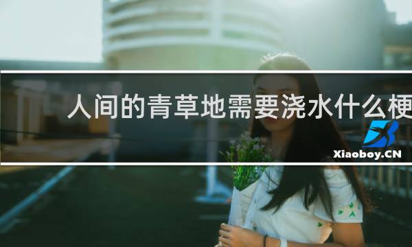 人间的青草地需要浇水什么梗