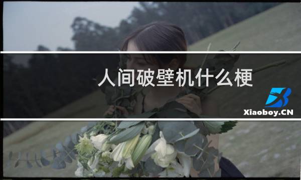 人间破壁机什么梗？人间破壁机是什么意思什么梗