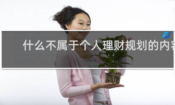 什么不属于个人理财规划的内容