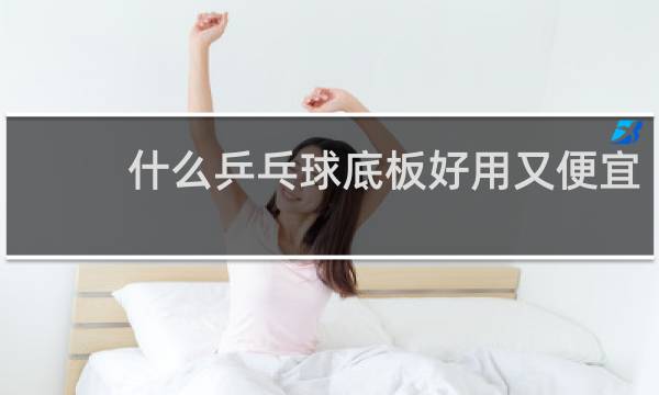 什么乒乓球底板好用又便宜