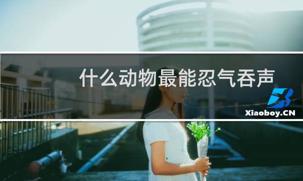 什么动物最能忍气吞声（什么动物最能忍辱负重）图片