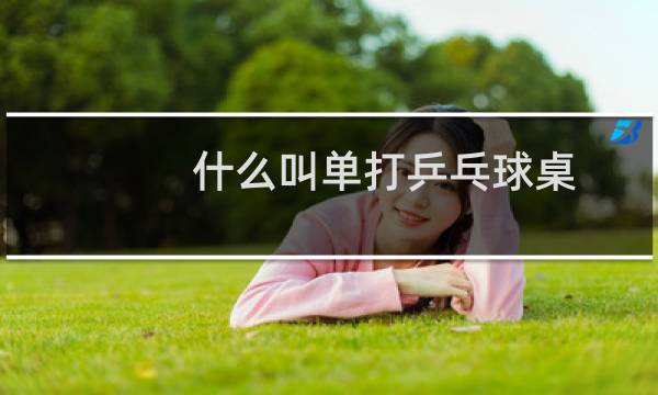 什么叫单打乒乓球桌