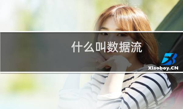 什么叫数据流
