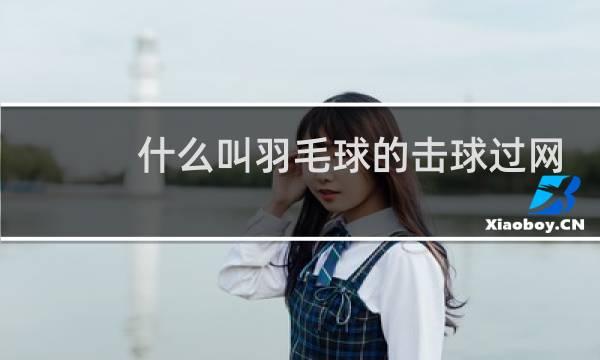 什么叫羽毛球的击球过网