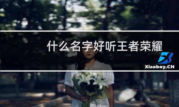 什么名字好听王者荣耀（什么名字好听）图片