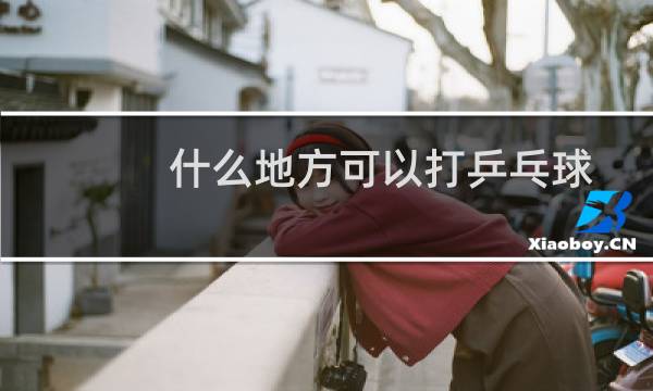 什么地方可以打乒乓球
