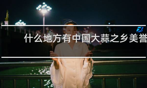什么地方有中国大蒜之乡美誉