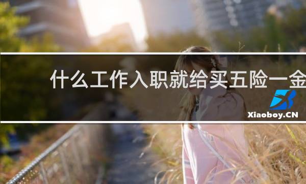 什么工作入职就给买五险一金