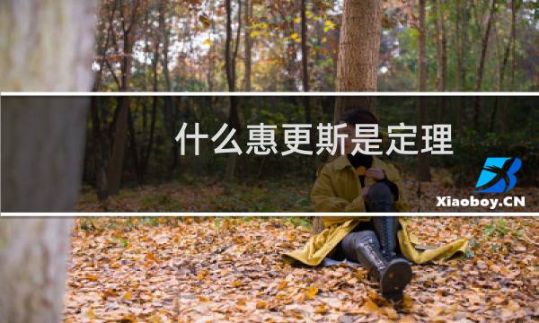 什么惠更斯是定理