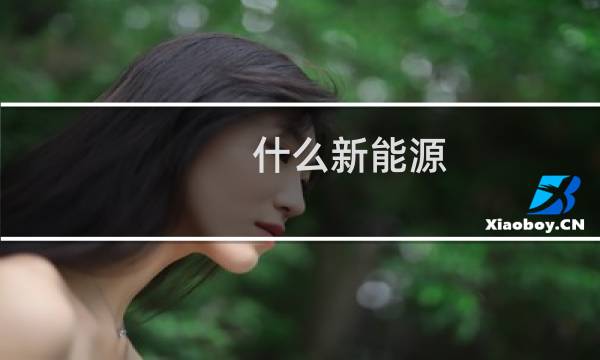 什么新能源