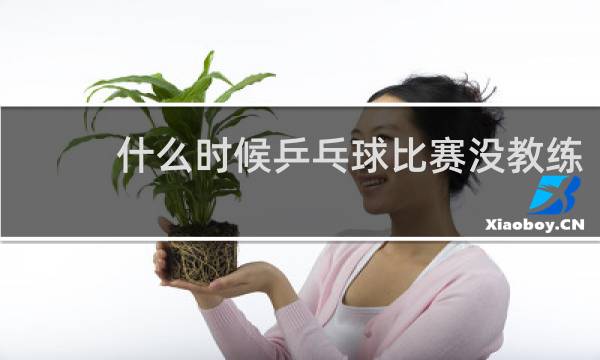 什么时候乒乓球比赛没教练