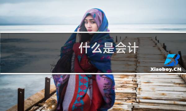 什么是会计(会计是什么工作)