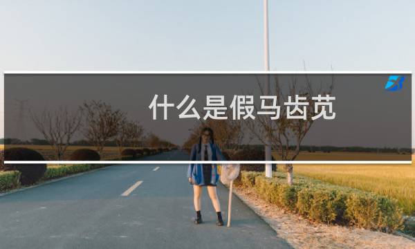 什么是假马齿苋（如何辨别真假马齿苋）图片