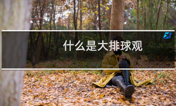 什么是大排球观