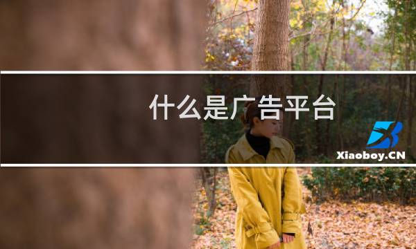什么是广告平台