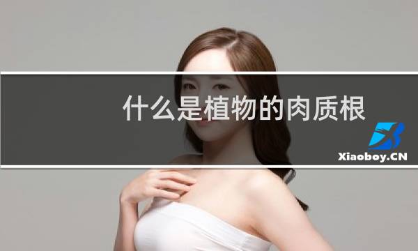 什么是植物的肉质根