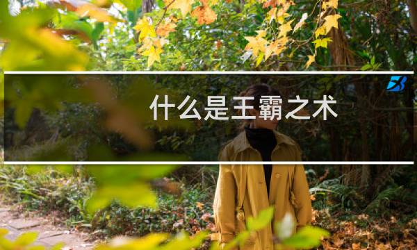 什么是王霸之术（什么是王道）