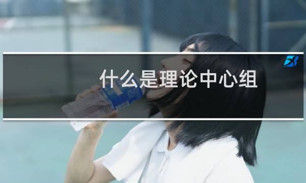 什么是理论中心组