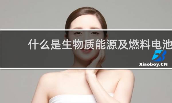 什么是生物质能源及燃料电池图片