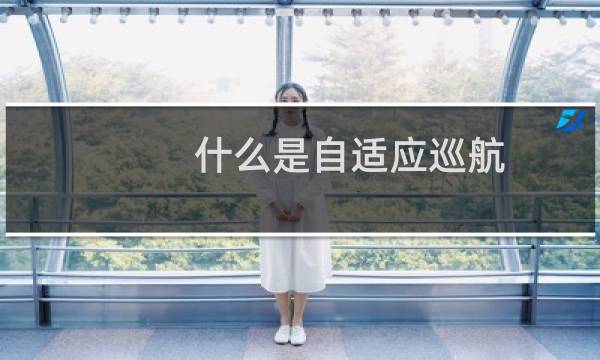 什么是自适应巡航（什么是自住住房）图片