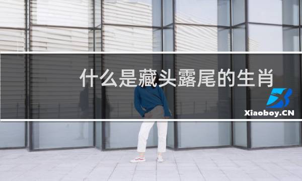 什么是藏头露尾的生肖（什么是藏头露尾诗）